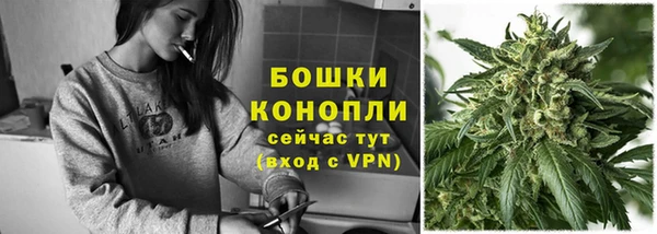 тгк Медногорск